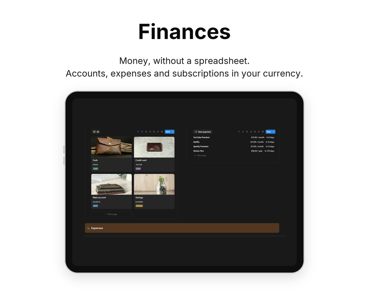 Finances in Framewise Life on a tablet: Accounts, expenses and subscriptions in your currency